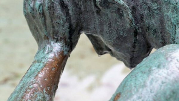 Arbeiten trotz Berufsunfähigkeitsrente